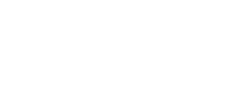 BMW Group Steyr Logo